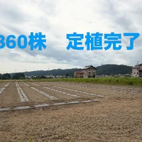 画像457