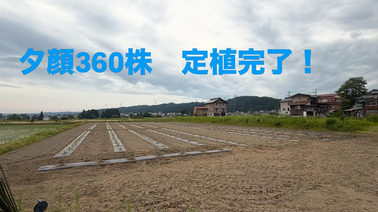 画像457