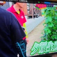 画像475