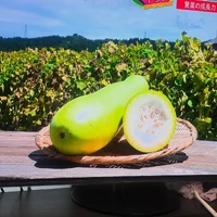 画像476
