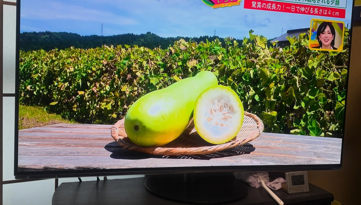 画像476