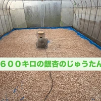 画像509