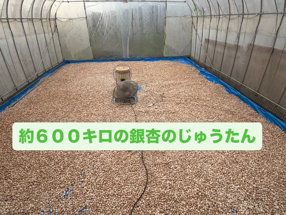 画像509